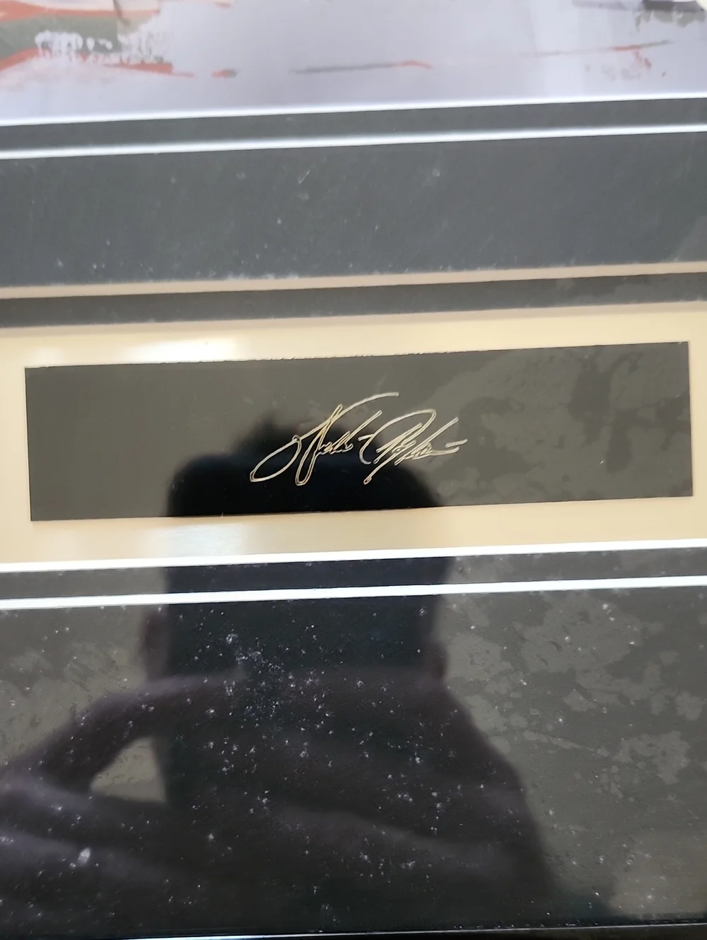 Walter Payton Framed Sports Wall Decor - Official NFL photo